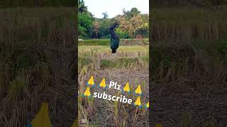 আপনাদের ভালোবাসা  #how_to_viral_youtube_shorts #foryou #video #vairalshort #music