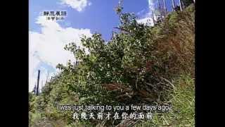 20120831《靜思晨語。法譬如水》改形易報入六道