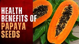 Amazing Health Benefits of Papaya Seeds - Herbal Goodness