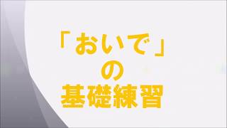 【犬のトレーニング、しつけ、訓練】ドッグトレーニング、おいで、呼び戻し、来いの基礎練習。誰でもできる。ジャックラッセルテリア