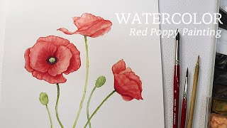 Drawing red poppy flowers with watercolors