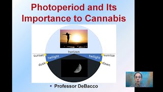 Photoperiod and Its Importance to Cannabis