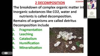 Chapter -12 Ecosystem class 12 topic Function of ecosystem, productivity, Decomposition by Hemlata