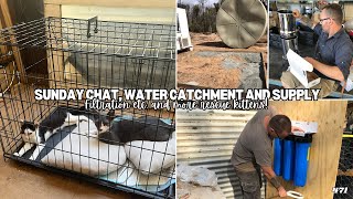 Water Catchment, how we handle Water Supply - Rescue Kittens! Sunday Chat. - Off Grid Australia