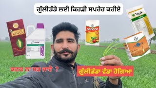 ਗੁੱਲੀਡੰਡੇ ਲਈ ਕਿਹੜੀ ਸਪਰੇਹ ਕਰੀਏ |ਕਣਕ ਨਾ ਸੜ ਜਾਏ  #wheatfarming #wheat #punjabagriculture #agriculture