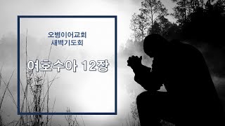 오병이어교회 새벽기도회/여호수아 12장