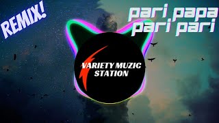 Loituma - Levan Polkka | Remix | Variety MuZic station | Pari Papa Pari Pari