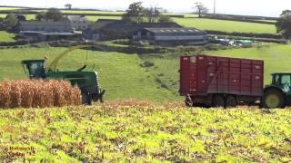 TWO John Deere Foragers hit the Maize!