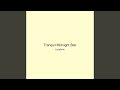 Tranquil Midnight Star