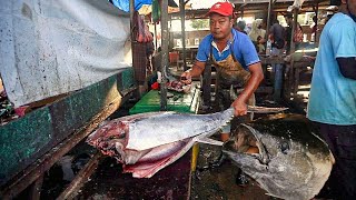 IKAN TUNA KUALITAS TERBAIK BERAT 60KG || YANG POTONG SUPER KOCAK 55RIBU SEKILO || CUT TUNA MONSTER