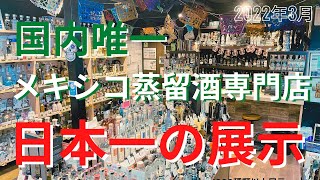 【日本一の展示数】テキーラ好きのテーマパークと呼ばれています。※店紹介2023年9月度更新版