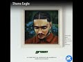 Shane Eagle Paranoia Lyrics Green Album