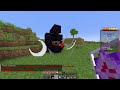 i went undercover on this minecraft server