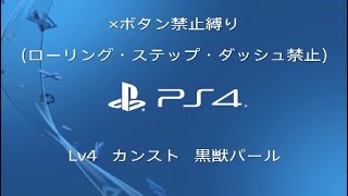 ×ボタン禁止縛り Lv4 カンスト 黒獣パール ブラッドボーン 解説　ノーダメージ