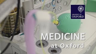 Medicine at Oxford University