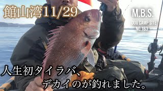 【館山湾】初心者アングラー🔰初めてのタイラバで大物GET♪＃2馬力ボート