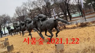 서울숲 2021 1 22/정경택