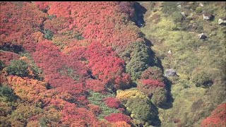 3連休最終日 各地でにぎわい　大雪山系黒岳では紅葉が見ごろに 函館「五稜郭タワー」では高齢者を無料で招待