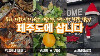 제주 Vlogㅣ별거 없고요.. 그냥 집에서 석화 구워 먹고 귤 까먹는 제주도민 일상ㅣ충청도 가족 브이로그