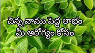 చిన్న వాము పెద్ద లాభం మీ ఆరోగ్యం కోసం!     @SRRVlogs-w9n