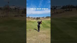 ⛳️ [장타정타 골프]#서산수#golfswing