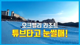 튜브타고 눈썰매타자 오크밸리 눈썰매장 Oak Valley Snow Sled,Tubing Slide - 아이랑 어디서 놀까