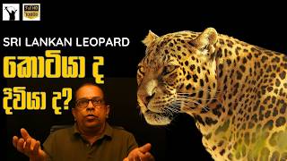 ලංකාවේ දිවියා කියන්නේ කොටියා ට ද? | Is Sri Lankan Leopard NOT a leopard? | Sinhala