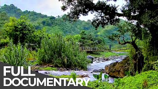 Amazing Quest: Stories from Jamaica | Somewhere on Earth: Jamaica | Free Documentary