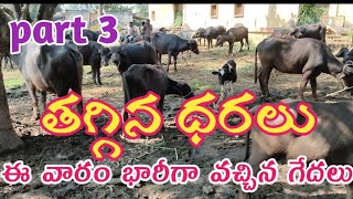 జంగారెడ్డిగూడెం పశువుల సంత/jrg Buffalo market/pasuvula santha in Telugu by jainkisan