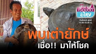 ชาวโคราชพบเต่ายักษ์ เชื่อ!!มาให้โชค | เรื่องดีดีทั่วไทย