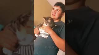 Funny Cat Videos🤣🤣 #cat #funnycats #pets #funnypets #shorts