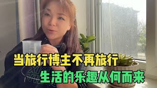 放弃旅行生活，在家被猫狗们占据了大部分时间，新来的猫咪叫什么【KO的旅行日记】