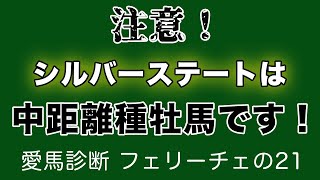 【愛馬診断】大樹の由緒正しき血統⁉️シルバーステート産駒のフェリーチェの２１を診断させて頂きました✨