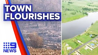 Fire affected town flourishes with recent rain | Nine News Australia