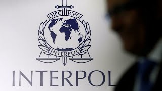 Interpol elects Emirati general accused of torture as new president • FRANCE 24 English