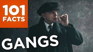 101 Facts About Gangs