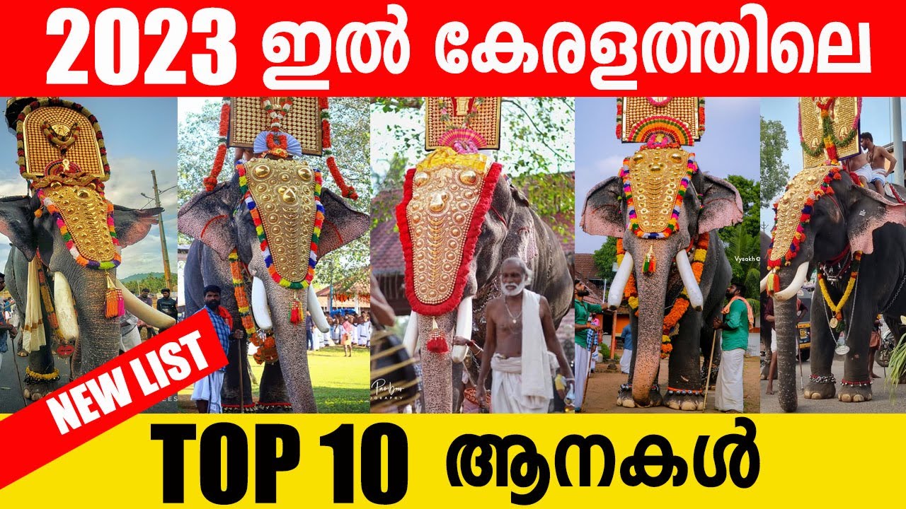 Top 10 Popular Elephants In 2023 🔥🔥 കേരളത്തിലെ ഏറ്റവും ഡിമാന്റ് ഉള്ള 10 ...