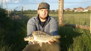 Summer Carp and Tench Fishing