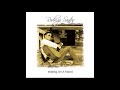 RODRIGO SANTOS - 03 - Did We Meet Somewhere Before (Paul McCartney) (Áudio)