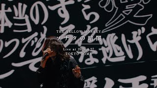 【LIVE】ソナタの暗闇 - 2024.4.27 TOKYO DOME