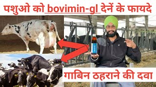 Repeater cow solution । पशुओ को bovimin-gl देनें के फायदे । गाय को गाबिन ठहराने की दवा