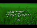 Viernes de la XV Semana del Tiempo Ordinario (19 de julio de 2024)