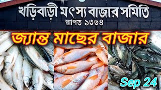 khoribari fish market 2024 ll খড়িবাড়ী মাছের বাজার ll fish market in Kolkata new video