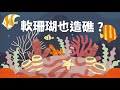 【沙灘垃圾哪裡來 海漂垃圾無國界】走在第一線的海洋科考