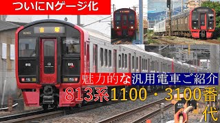 遂に製品化された813系1100・3100番代をご紹介