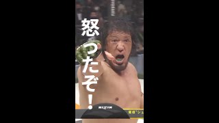 【RIZIN】関根“シュレック”秀樹　噛みつかれて貴賢神に怒りのサッカーボールキック！！#shorts