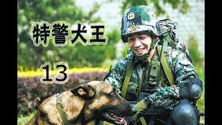 特警犬王 第13集 | 最好看中国军旅警犬题材剧