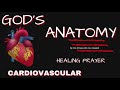 healing prayer for heart problems god s anatomy warfare prayer