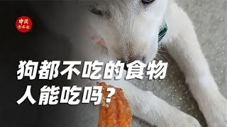 狗都不吃的食物人能吃吗？