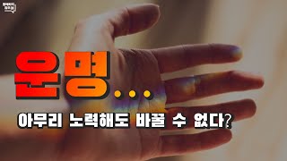 운명, 아무리 노력해도 극복할 수 없는 것? [7]  #불교QnA